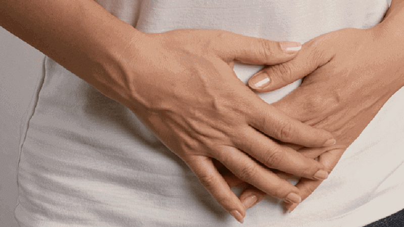 Bladder / Urinary Tract